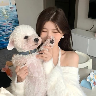 寻找老夫子